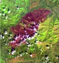 Satellite image of burn area. Image links to Monitoring Post-Fire Successional Patterns in Interior Alaska