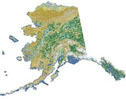 Image representing the National Land Cover Database. Image links to more information about the National Land Cover Database.