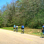 Bicyclist on the Parkway ride single file for safety.