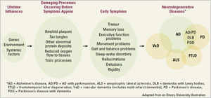 This graphic illustrates the commonalities and unique characteristics of neurodegenerative diseases such as Alzheimer’s disease (AD), Parkinson’s disease, amyotrophic lateral sclerosis, frontotemporal lobar degeneration (FTLD), and dementia with Lewy bodies. The first column lists lifetime influences/causes for neurodegenerative diseases: genes, environment, and systemic factors. The second column lists damaging processes that occur before symptoms appear: amyloid plaques, tau tangles, other abnormal protein deposits, reduced oxygen flow to tissues, and toxic processes. The third column lists early symptoms of the diseases: tremor, memory loss, executive function problems, movement problems, gait and balance problems, sleep-wake disorders, hallucinations, delusions, and rigidity. The fourth column is a Venn diagram showing the overlap of AD and other neurodegenerative diseases. The largest circle represents AD. Smaller circles overlap the AD circle and one another. The circle representing vascular dementia overlaps with those for AD and amyotrophic lateral sclerosis. The circle representing amyotrophic lateral sclerosis overlaps with those for AD and vascular dementia. The circle representing FTLD overlaps with those for AD and Parkinson’s disease. The circle for Parkinson’s disease, which includes AD with parkinsonism, dementia with Lewy bodies, and Parkinson’s disease with dementia, overlaps with those for AD and FTLD. A key to abbreviations used in the fourth column is provided below the graphic. The graphic was adapted from an Emory University illustration.