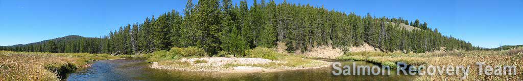 Salmon Recovery Team banner  - image of Bear Valley Creek