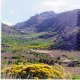 West Fork-Lamoille Canyon