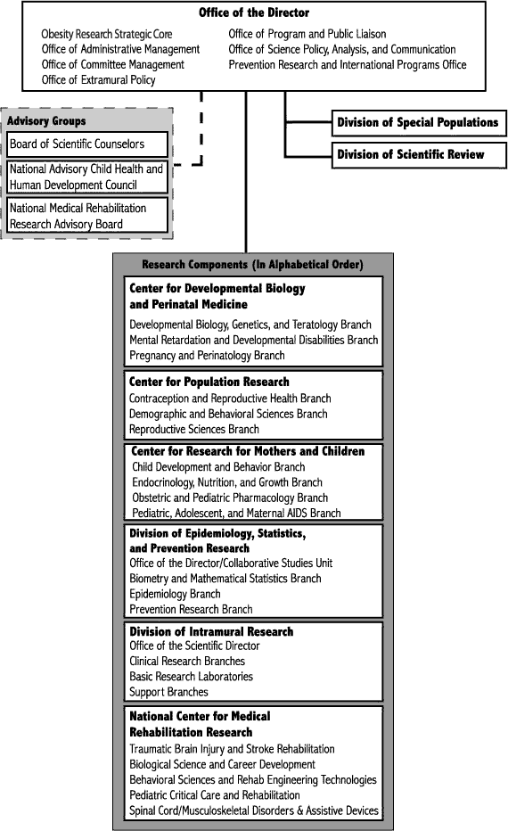 Organization Chart