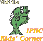 Kids' Corner link