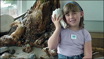 Brandee holding a whelk shell to her ear and smiling.