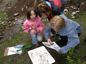 Girl scouts monitoring Colter Creek