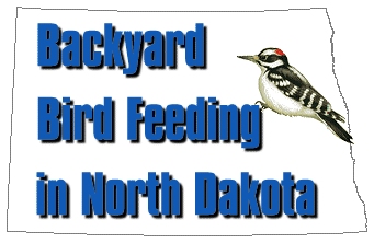 Backyard Bird Feeding in North Dakota