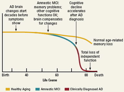 Charting the Course of Healthy Aging, MCI, and AD. Chart shows that 'AD brain changes start decades before symptoms show' at around age 25; 'Amnestic MCI, memory problems, other cognitive functions OK, brain compensates for changes' at around age 55, when Amnestic MCI begins to diverge from Healthy Aging; 'Cognitive decline accelerates after AD diagnosis' at around age 75, where Amnestic MCI becomes Clinically Diagnosed AD; between age 80 and Death, the Healthy Aging line begins to dip and says 'Normal age-related memory loss', and the AD line hits the bottom of the scale and says 'Total loss of independent function'.