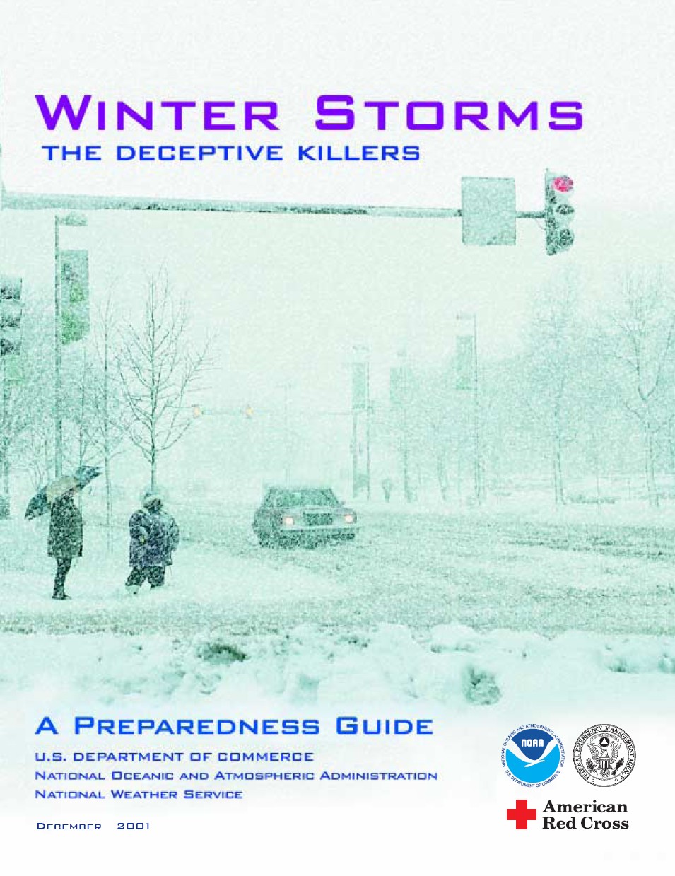 Winter Storm Preparedness Guide