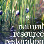 Natural Resource Restoration