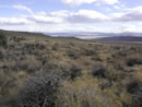 Sagebrush steppe- Near Mono Lake California