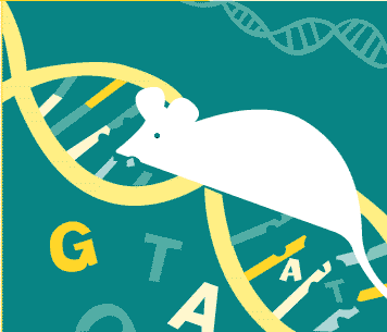 Mouse Genetics