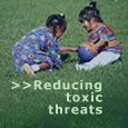 Ecology Priority: Reducing Toxic Threats