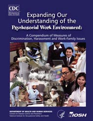 Expanding Our Understanding of the Psychosocial Work Environment;  2008-104 (cover image)