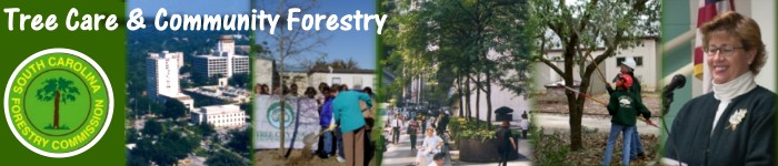 Urban and Community Forestry