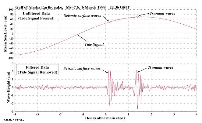 Gulf of Alaska Earthquake