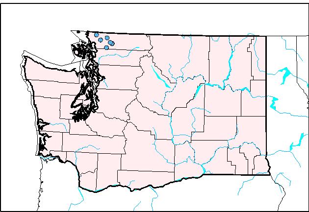 Position pointer over dot for Streamgage number and name