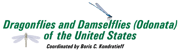 Dragonflies and Damselflies (Odonata) of the United States, Coordinated by Boris C. Kondratieff