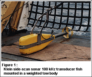 Figure 1: Side-scan sonar fish 
