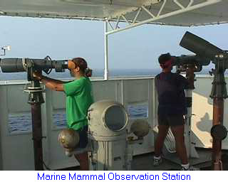 Photo of the Marine Mammal Observation Station