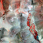 [Landsat TM 234 Color Composite] 