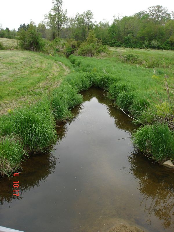 Location 37 - Dogwood Run at Maple Spring Road farm looking downstream, poor buffer