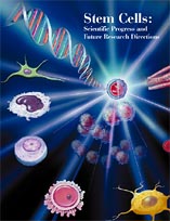 NIH Stem Cell Report