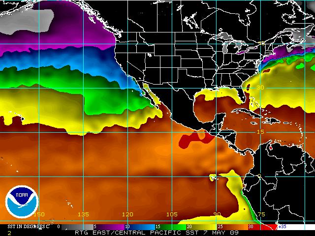 Reynolds Eastern Pacific SST Analysis