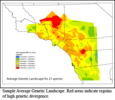 Sample Average Genetic Landscape
