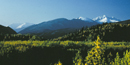 Image of Denali National Park in the fall