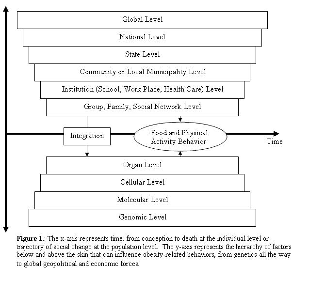 Figure 1. The x-axis represents time, from conception to death at the individual level or trajectory of social change at the population level.  The y-axis represents the hierarchy of factors below and above the skin that can influence obesity-related behaviors, from agencies all the way to global geopolitical and economic forces.