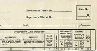 1930 Census Heading