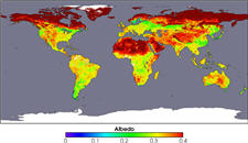 MODIS Global Albedo image of the Earth.