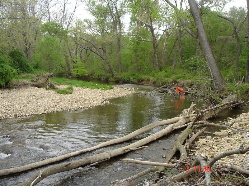 Location 22 - Looking upstream on Little Elk Creek from entrance of side channel