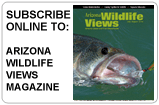 Arizona Wildlife Views Magazine