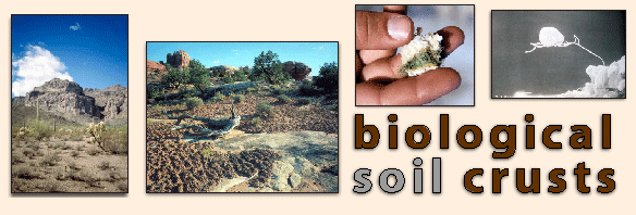 Biological Soil Crusts