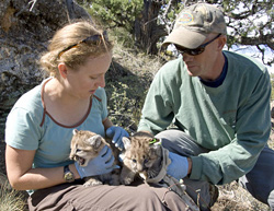 Hattie Oswald and Eric York with the kittens.