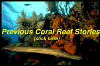 NOAA's Previous Coral Reef Story Ideas