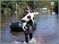 Photo of a rescuer carrying a dog.