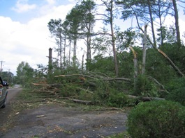 Storm damage near Albertville 