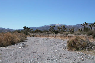 Mojave Basin Stream Chanel