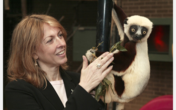 Photo of Duke University Lemur Center director Anne D. Yoder with a Coquerel's Sifaka.
