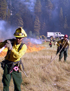 Firefighters in the field.