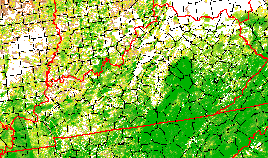 NDVI composite for May 18-24, 2001
	(Kentucky)