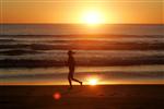 A jogger runs along the shore of Manly Beach after sunrise on the first day of Spring in Sydney September 1, 2008. (REUTERS/Will Burgess)