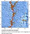 Historical Seismicity