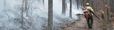 photo of fire line, smoke blowing to the left side, small flame, firefighter walking on fire line.