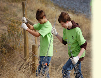 Fixing a Fence