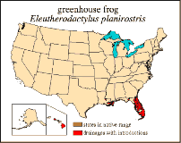 Map of USA showing greenhouse frog distribution