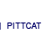 PittCat